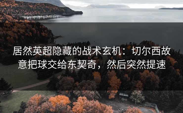 居然英超隐藏的战术玄机：切尔西故意把球交给东契奇，然后突然提速